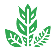 Зеленая голова с очерченным белым контуром мозга Зеленая голова с очерченным белым контуром мозга