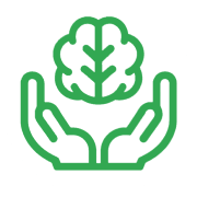 Зеленый лист Зеленый лист